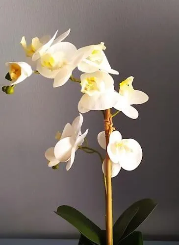 La Casa Di Anna, Trilocale Con Balcone E Garage Apartman